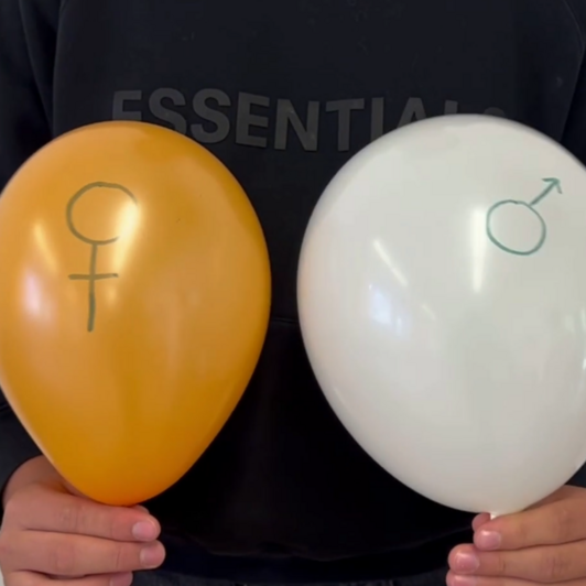 Videostill 2 Luftballons orange mit Zeichen für Weiblichkeit und weiss mit Zeichen für Männlichkeit