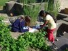 Foto von zwei Schülerinnen, die das  Schulgelände erforschen