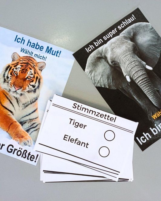 zwei Wahlwerbe-Flyer und ein Stimmzetten für Kandidaten Tiger und Elefant