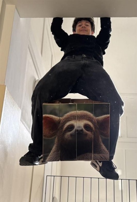 Foto von einem Schüler Hängend auf einer Mauer, mit einem Hocker aus Karton.  Darauf ein Tiermotiv von einem Faultier.