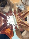 Foto von unten aufgenommen, Jugendlichen die in einem Kreis stehen und die Finger in V Form zusammenhalten.