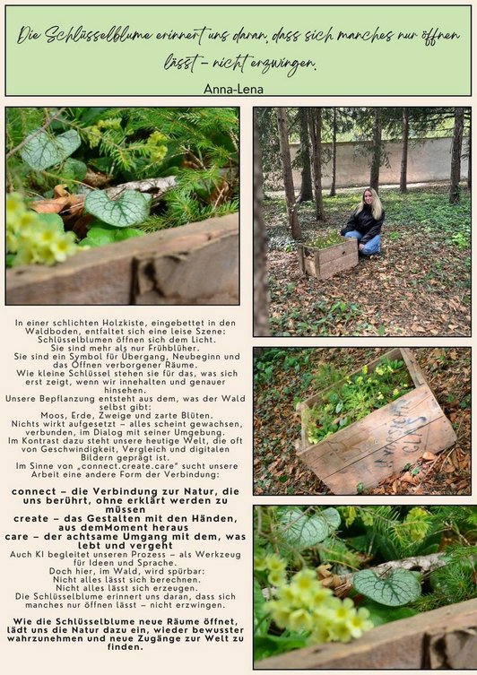 Gedanken einer Schülerin zum Themen Licht, Übergang, Neubeginn. Fotos von einer dekorierten Kiste mit Naturmaterialien aus dem Wald.