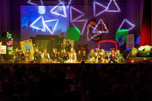 Schüler/innen in Katzenkostümen auf Bühne