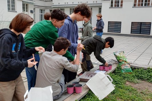 Schülerinnen füllen Gartenerde in kleine Plastiktöpfe
