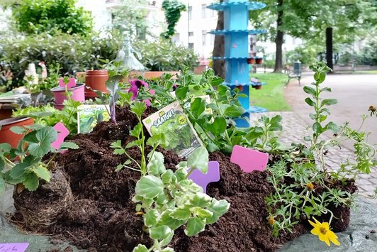 Hauffen Erde mit frisch gesetzten Pflanzen
