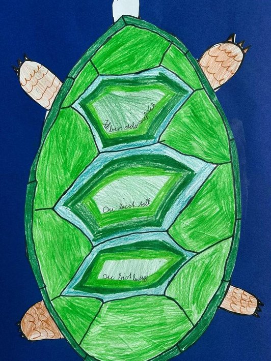 Zeichnung einer Schildkröte von oben.