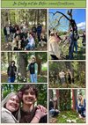 Fotocollage von Schüler:iinen im Wald mit rosa Blumen.