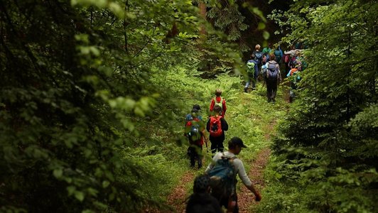 Wald und Kinder