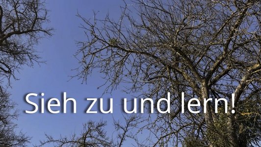 Der Alternativtext wird in Kürze eingefügt