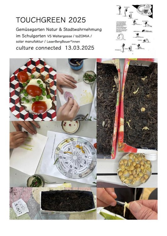Bildmontage mit Projektfotos von Abeit mit Pflanzen