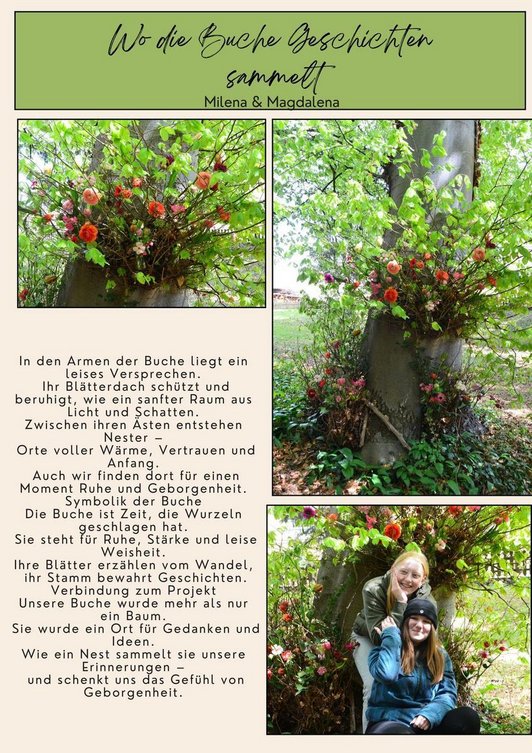 Gedanken von zwei  Schülerinnen zum Thema Buche, Vertrauen, Ruhe , Stärke, etc. Abgebildet sind auch drei Fotos der Buche mit Blumen und den zwei Mädchen.
