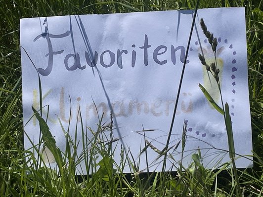 Klimafest Plakat