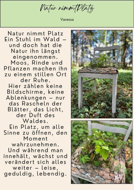 Gedanken zum Themen Natur nimmt Platz. Fotos von einem dekorierten Sessel mit Naturmaterialien aus dem Wald.