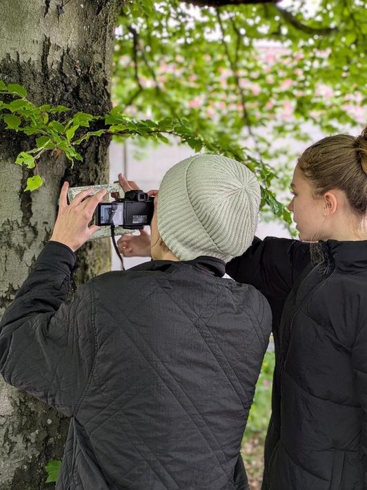 Beim Fotografieren der Arbeiten im Außenraum