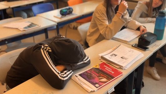 Der Alternativtext wird in Kürze eingefügt