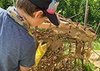 Schüler bastelt eine Holzskulptur in einem Garten.