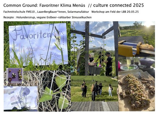 Bildmontage mit Projektfotos vom Laaerberg