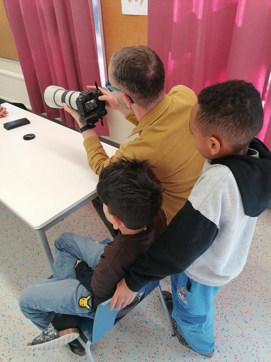 Kunst der Demokratie