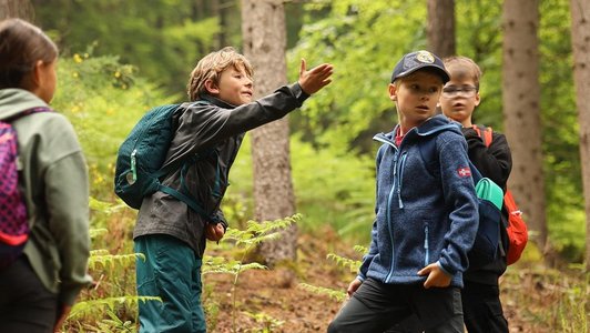 vier Schüler/innen im Wald, einer gestikulierend