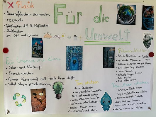 Plakat mit Gedanken für die Umwelt und Fotos dazu. Themen Recycling, Enerfie, Klima, Plastik, Tiere, Meer etc.