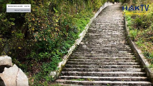 Videostill einer Steintreppe, der sogenannten 'Todesstiege' von Mauthausen'