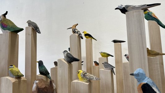 Foto von bunt bemalten Zugvögeln aus geschnitzem Holz sitzend auf unterschiedlich langen Holzlatten.