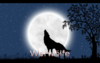 Video ausschnitt mit einem Vollmond und einem heulendem Wolf davor. Schriftzug Werwölfe