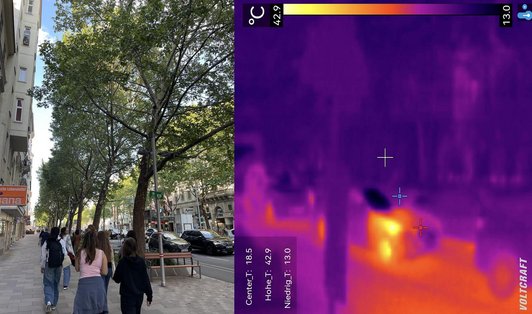 Foto von belegte Straße neben Wärmebild einer Straße