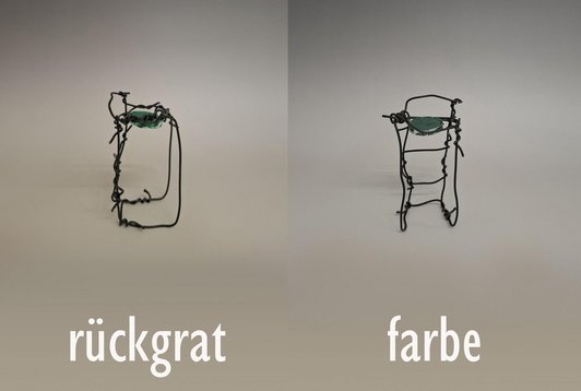 rückgrat & farbe