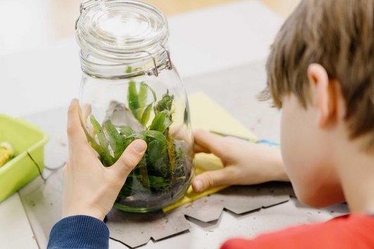 Kind schaut in ein Glas, das Farne und Gräser beinhaltet