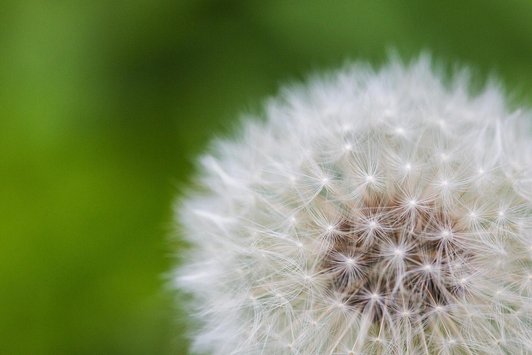 Der Alternativtext wird in Kürze eingefügt